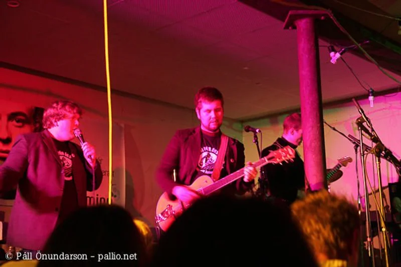 Aldrei fór ég suður 2006 - mynd 42