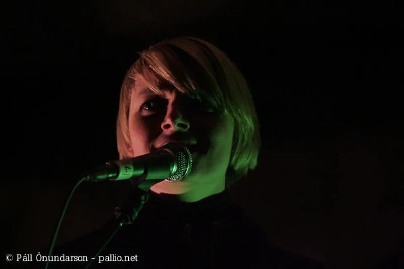 Aldrei fór ég suður 2007 - mynd 33