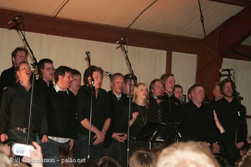Aldrei fór ég suður 2007 - mynd 69