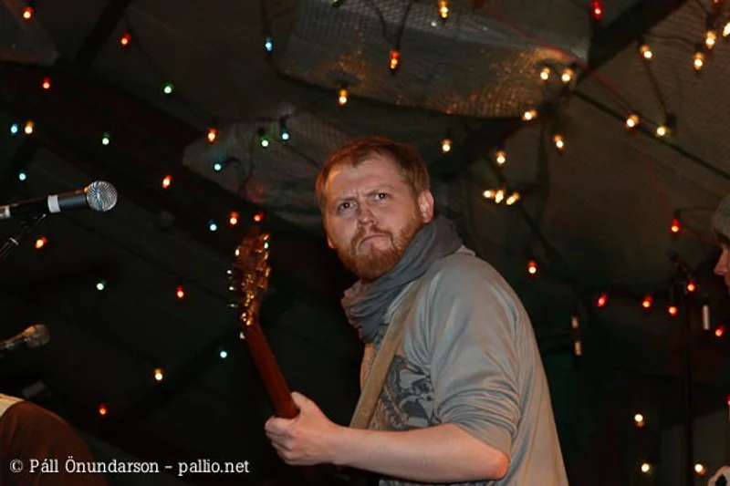 Aldrei fór ég suður 2008 - mynd 25