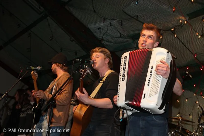 Aldrei fór ég suður 2008 - mynd 9