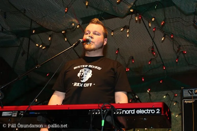Aldrei fór ég suður 2008 - mynd 14