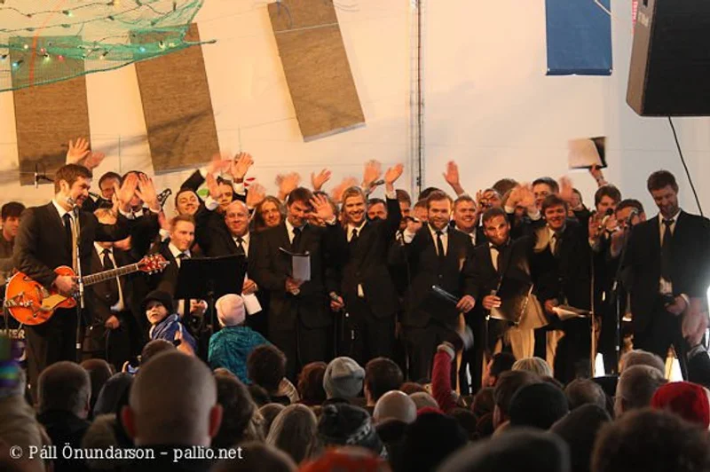 Aldrei fór ég suður 2009 - mynd 1
