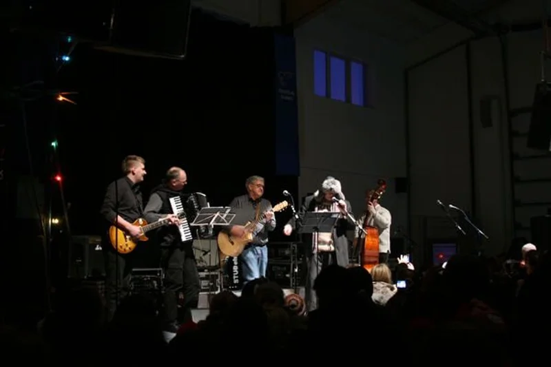 Aldrei fór ég suður 2010 - mynd 13