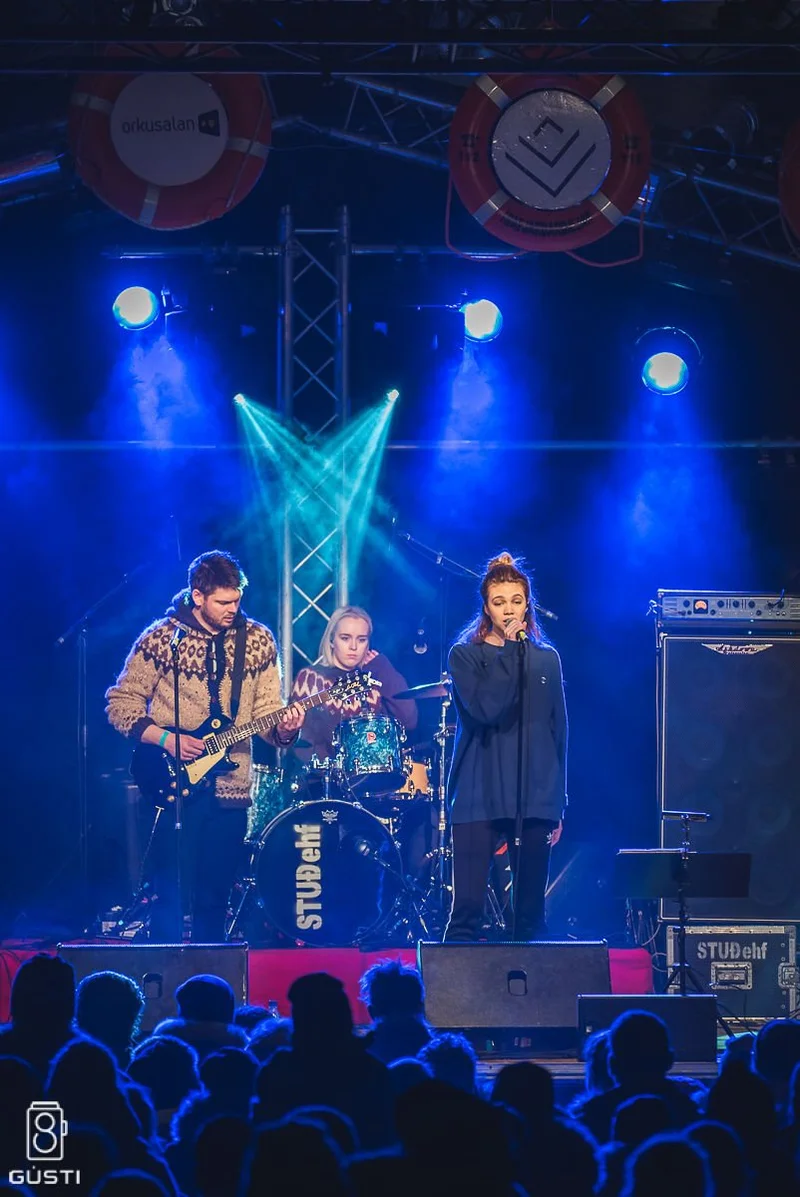 Aldrei fór ég suður 2016 - mynd 4