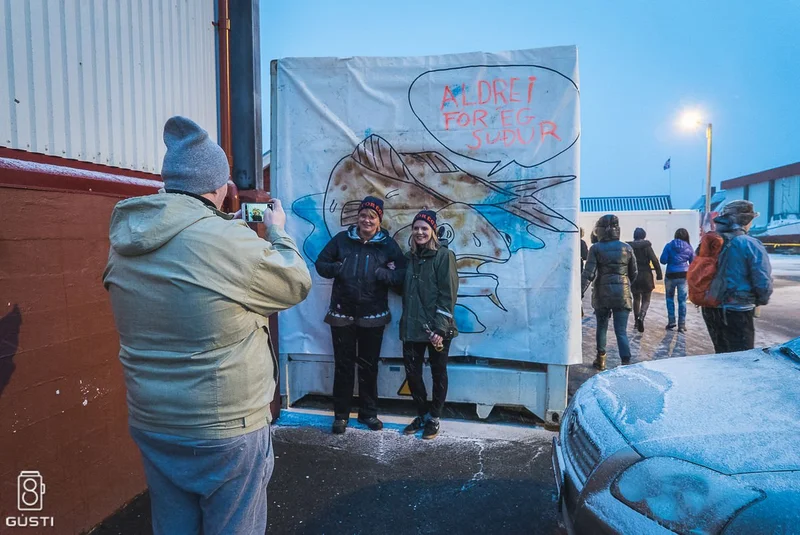 Aldrei fór ég suður 2016 - mynd 8
