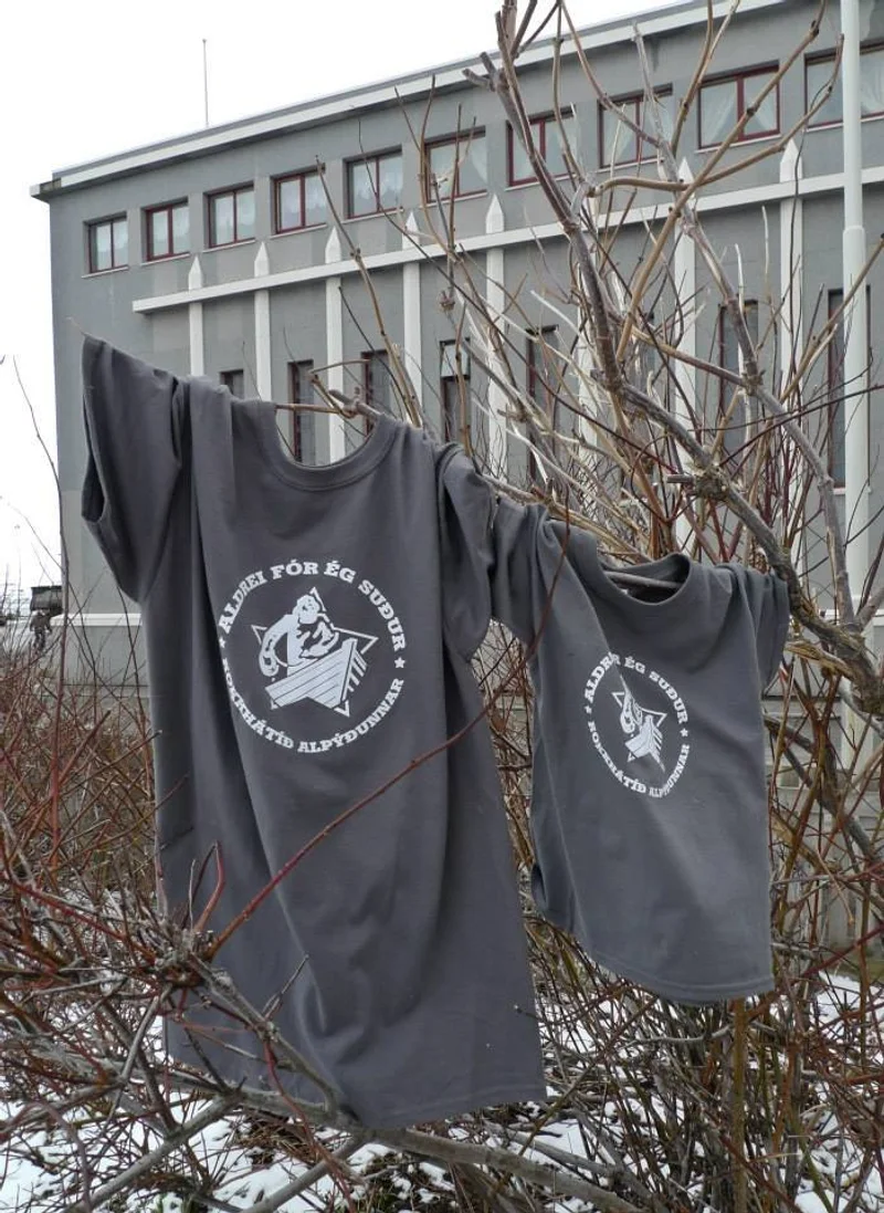 Aldrei fór ég suður 2014 - mynd 11