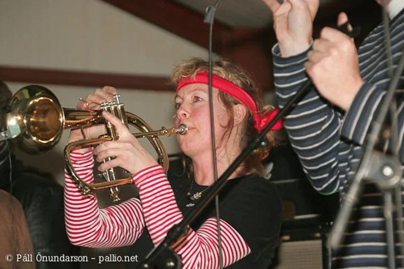 Aldrei 2007