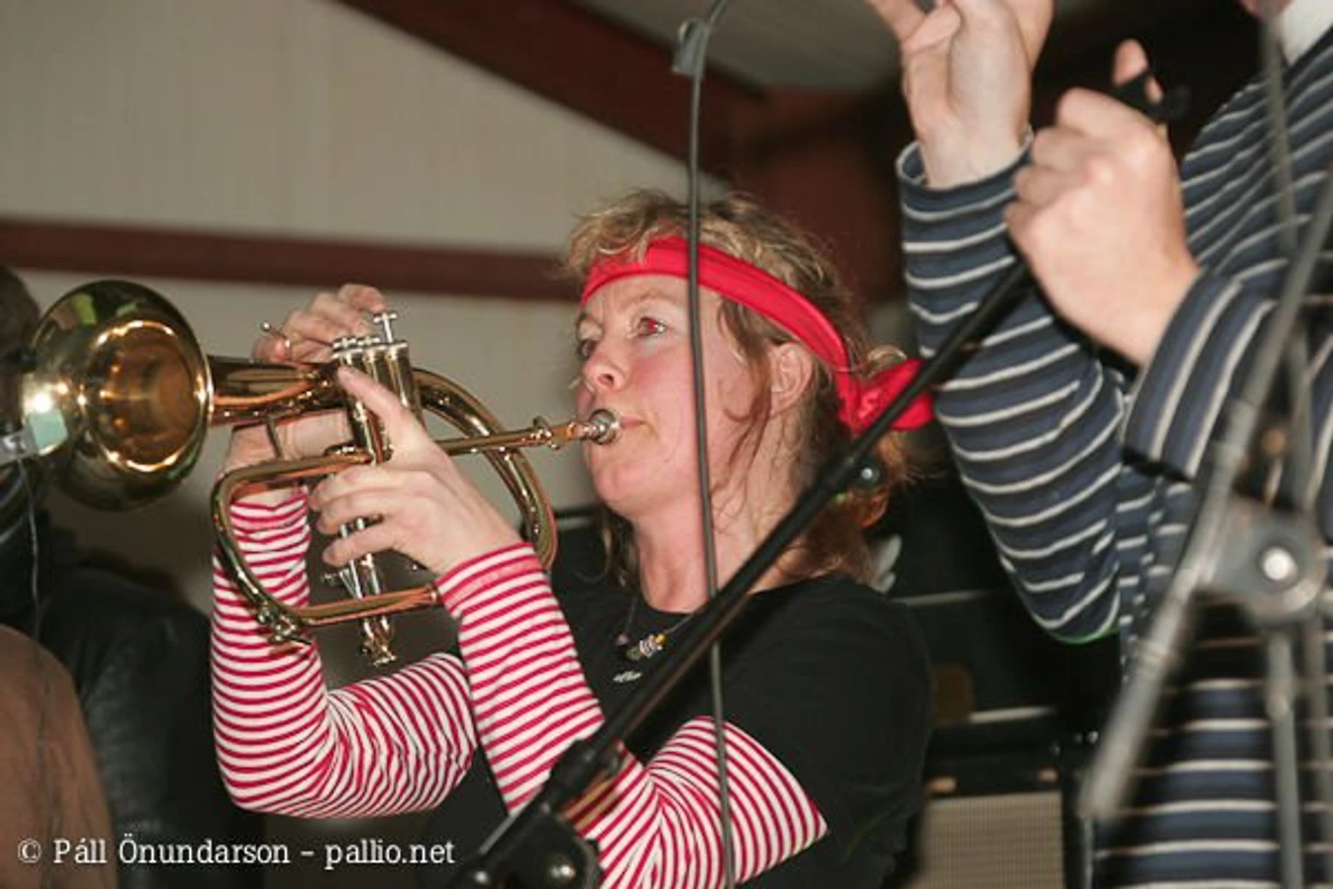 Aldrei fór ég suður 2007