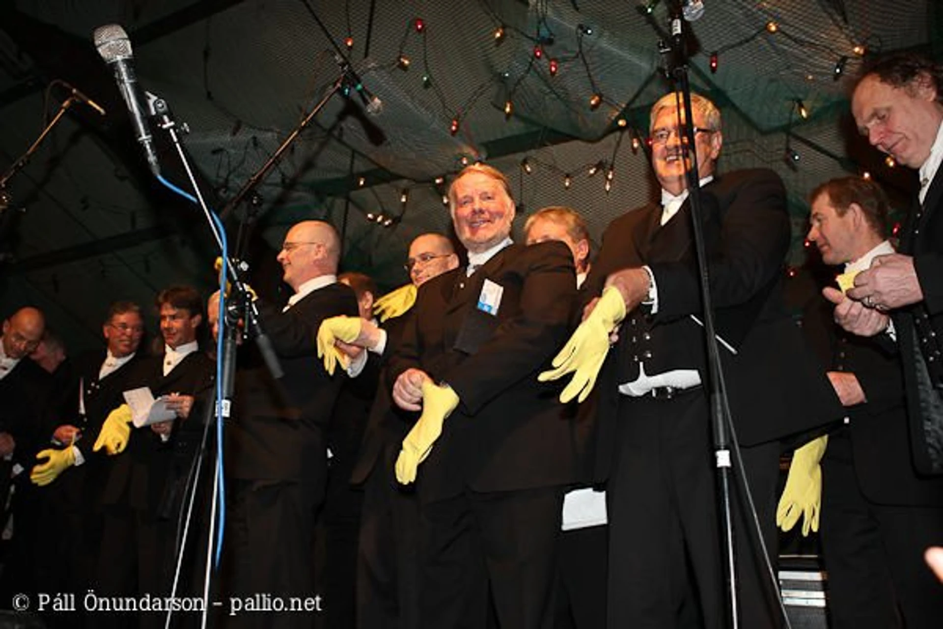 Aldrei fór ég suður 2008