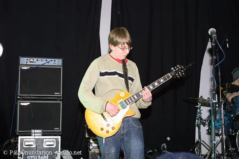 Aldrei fór ég suður 2004 - mynd 3
