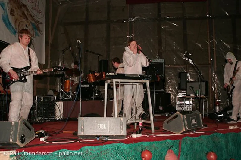 Aldrei fór ég suður 2005 - mynd 2