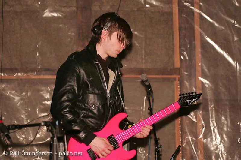 Aldrei fór ég suður 2005 - mynd 1